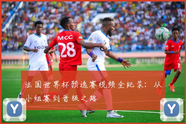 法国世界杯预选赛视频全纪录:从小组赛到晋级之路